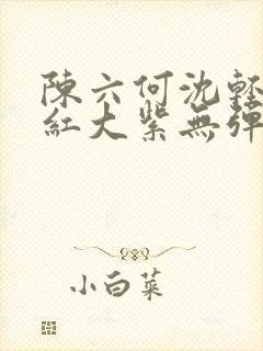 陈六何沈轻舞大红大紫无弹窗封面