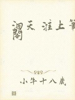 洄天 淮上笔趣阁