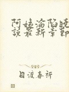 阿姨沦陷晓诚小说最新章节免费阅读