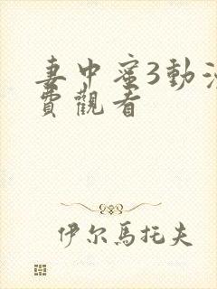 妻中蜜3动漫免费观看