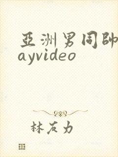 亚洲男同帅哥gayvideo