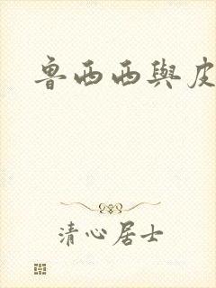 鲁西西与皮皮鲁封面