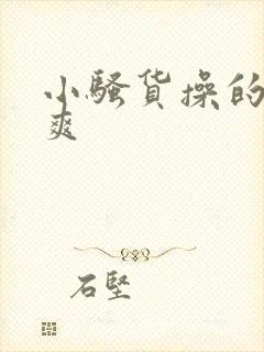 小骚货操的爽不爽