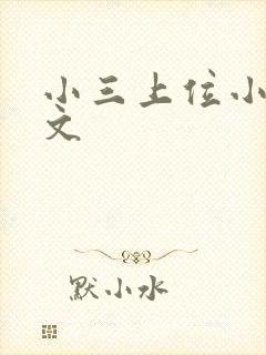 小三上位小说全文