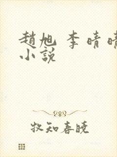 赵旭 李晴晴 小说