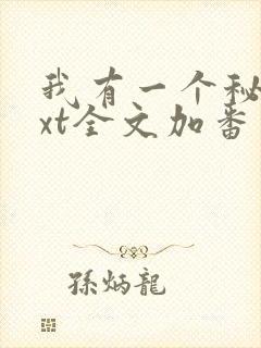 我有一个秘密txt全文加番外