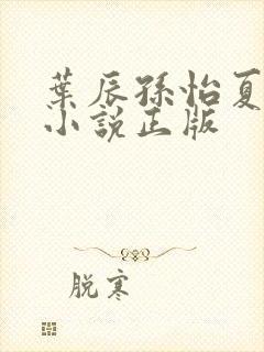 叶辰孙怡夏若雪小说正版