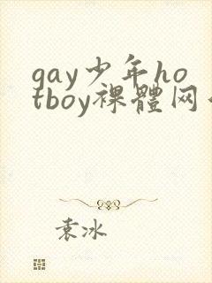 gay少年hotboy裸体网站