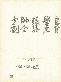 少帅张学良电视剧全集免费观看下载