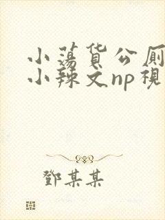 小荡货公厕h文小辣文np视频