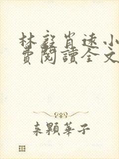 林毅肖远小说免费阅读全文最新章节封面