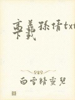 高义孙倩txt下载封面