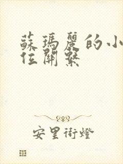 苏玛丽的小说错位关系