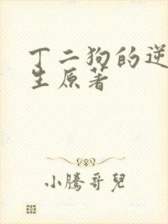 丁二狗的逆袭人生原著