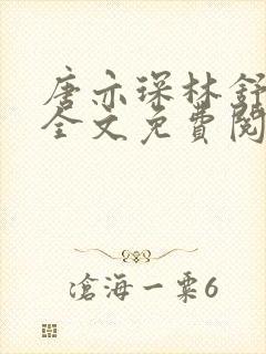 唐亦琛林舒小说全文免费阅读封面