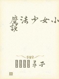 魔法少女小圆小说封面