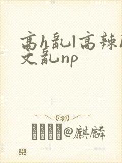 高h乱l高辣h文乱np封面