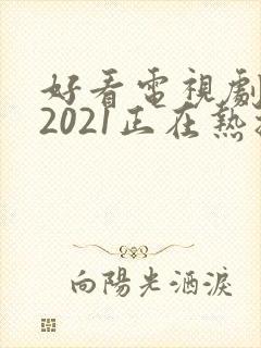 好看电视剧推荐2021正在热播的剧