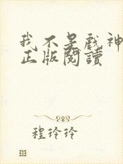 我不是戏神小说正版阅读