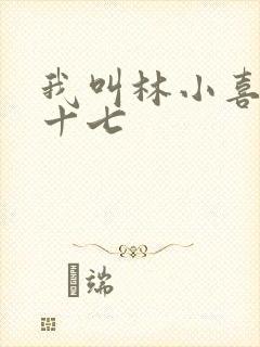 我叫林小喜今年十七