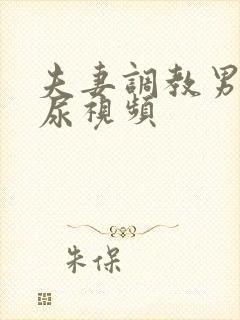 夫妻调教男奴喝尿视频