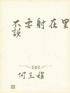 不要射在里面小说