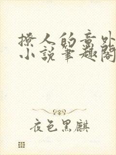 撩人的意外刘华小说笔趣阁