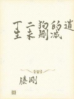 丁二狗的逍遥人生未删减封面