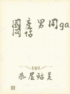 国产男同gay网站