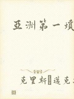 亚洲第一坟封面