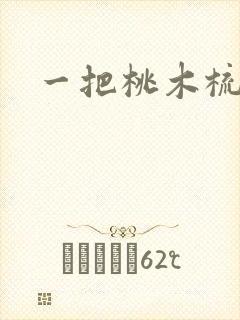 一把桃木梳封面