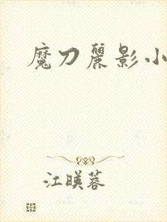 魔刀丽影小说封面