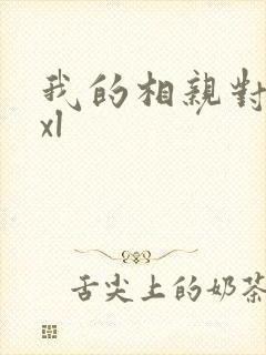 我的相亲对象是xl封面
