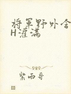 将军野外含公主H灌满