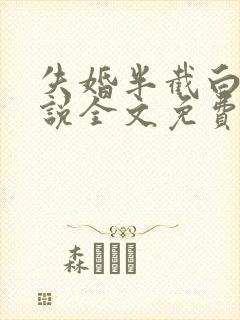 失婚半截白菜小说全文免费阅读