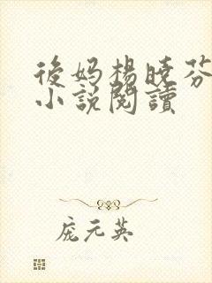 后妈杨晓芬王磊小说阅读