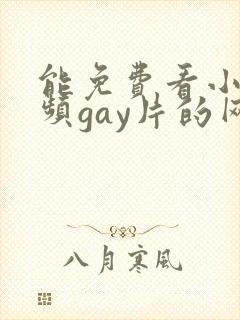 能免费看小蓝视频gay片的网站封面