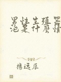 男性生殖器长水泡是什么情况