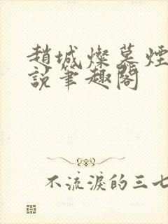 赵城灿慕烟罗小说笔趣阁