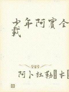 少年阿宾全集下载