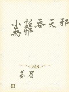 小说吞天邪尊柳无邪