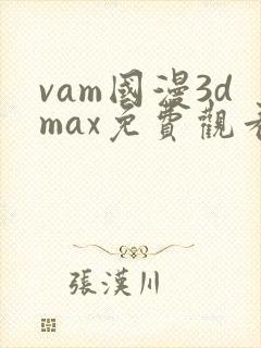 vam国漫3dmax免费观看