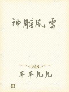 神雕风云