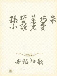 孙哲叶巧朱颜的小说免费