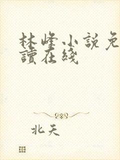 林峰小说免费阅读在线