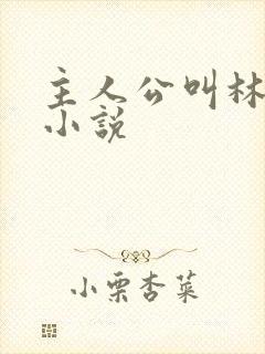 主人公叫林凡的小说