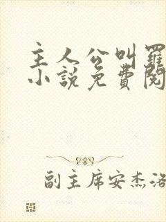 主人公叫罗铮的小说免费阅读笔趣阁封面