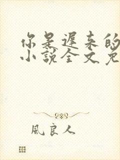 你是迟来的欢喜小说全文免费阅读