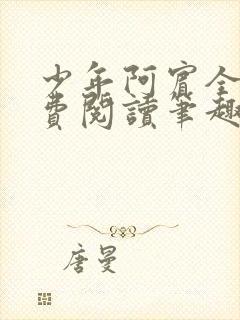 少年阿宾全文免费阅读笔趣阁