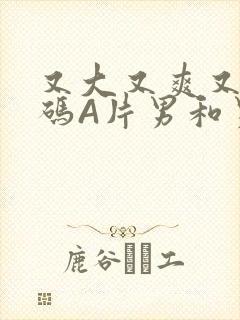 又大又爽又黄无码A片男和男